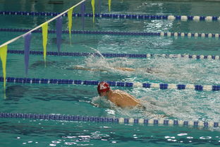 开云体育官方-张雨霏自由泳赛段发力迅速，张雨霏自由泳实力